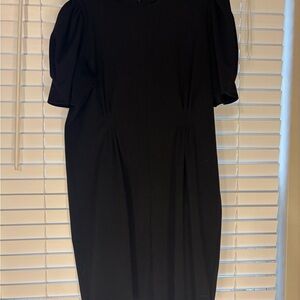 Express Elegant Black Puff Sleeve Dress